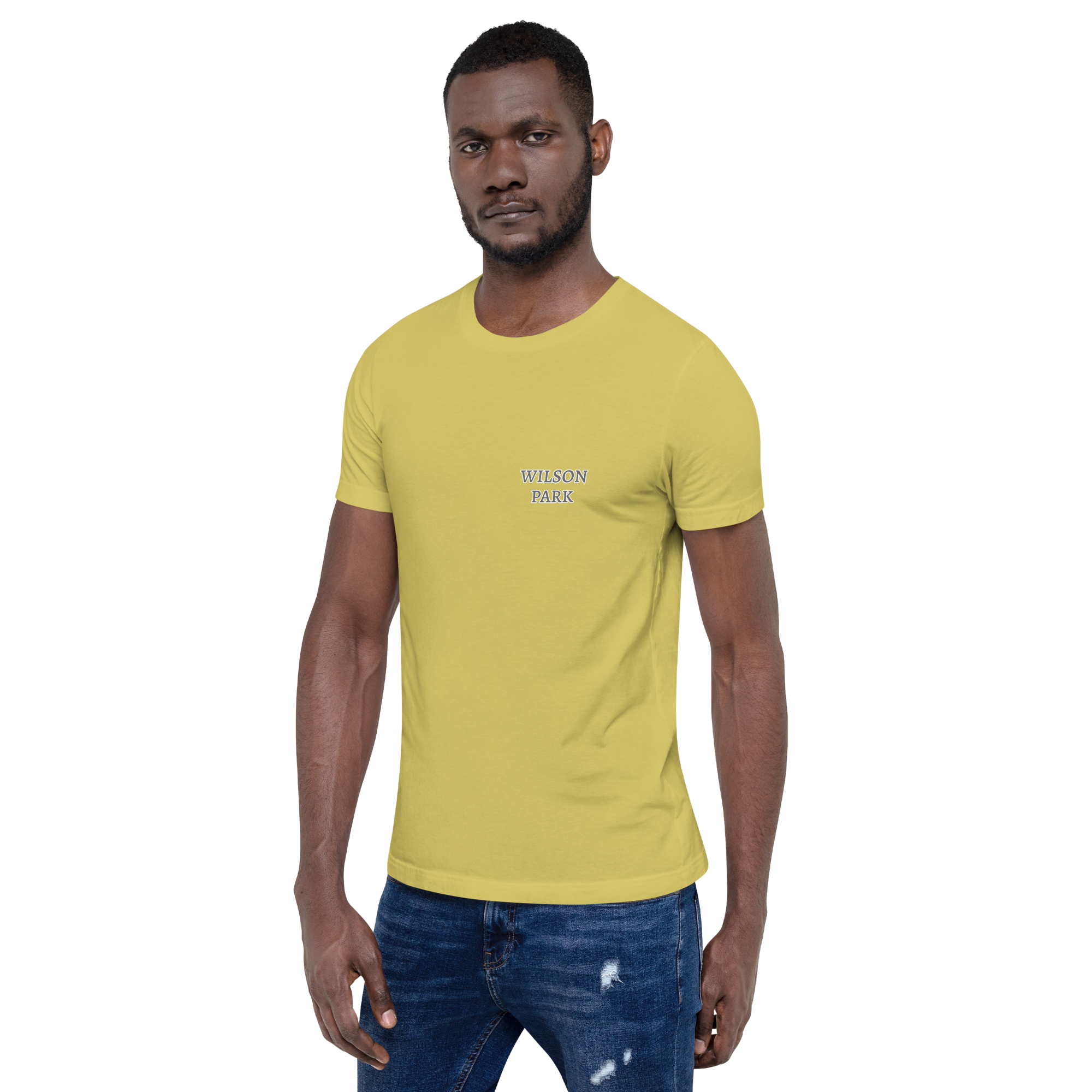 The Castle at Wilson Park T-Shirt